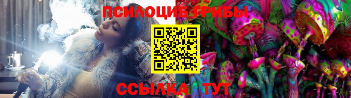 Галлюциногенные грибы Psilocybe  Вход с VPN  Клинцы  Галлюциногенные грибы Psilocybine cubensis 